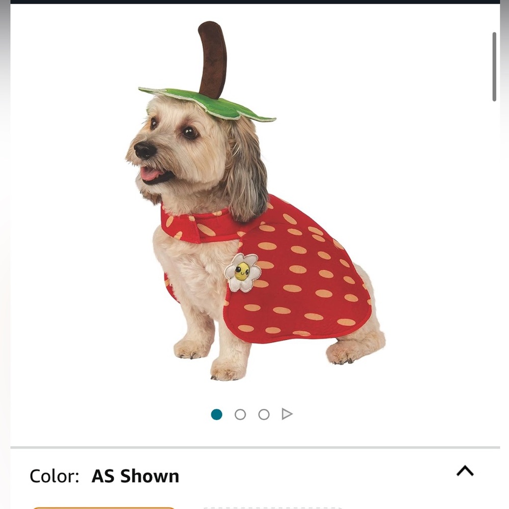 Dog costume strawberry EXTRA LARGE